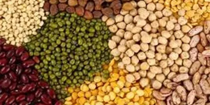 گران&zwnj;ترین و ارزان&zwnj;ترین حبوبات در میادین میوه و تره بار