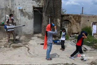جدید
