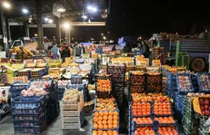 کارگر: کمبودی در عرضه میوه شب یلدا نداریم