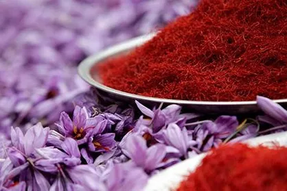 بخش خصوصی به تعهداتش در خرید تضمینی زعفران عمل نکرد
