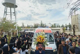 مراسم داودی