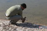رهاسازی ۹ قطعه پرنده شکاری و آبزی در تالاب بهشت معصومه