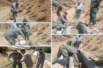توزیع ۱۶۰ گالن ضدعفونی&zwnj;کننده برای پیشگیری از بیماری در حیات وحش تهران
