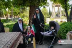 انتخابات ریاست جمهوری در شیراز