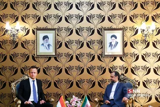 بیدذب