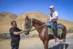 اسب