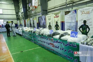 جدید