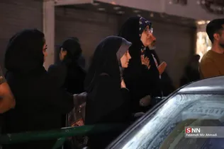 دبب
