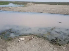 جوابیه شرکت آب و فاضلاب گلستان به گزارش