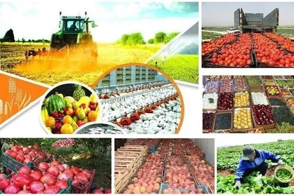 جزئیات تسهیلات بانکی برای خرید&zwnj;های توافقی محصولات کشاورزی اعلام شد