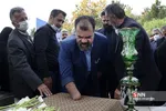 سیل