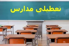 تعطیلی مدارس با شیوع آنفولانزا / عدم تاثیر برودت و آلودگی هوا در غیرحضوری شدن کلاس‌های درس