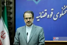 سخنگوی قوه قضائیه احکام متهمان پرونده شرکت بازرگانی پتروشیمی را اعلام کرد/ ۱۸۰ سال حبس در پی ایجاد اخلال در نظام اقتصادی
