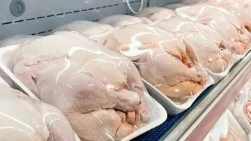 مرغ‌های سنگین از بازار کنار می‌روند؟
