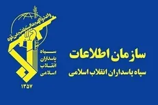 جزئیات انهدام شبکه ضد امنیتی تلفیقی توسط سازمان اطلاعات سپاه در کرمان