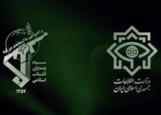 پروژه عقیم ویران‌سازی