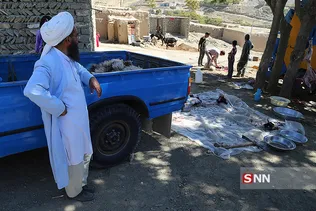 جرگلان