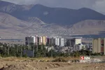تخریب باغات
