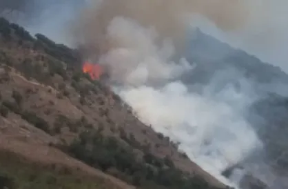 جنگل&zwnj;های گالیکش دچار حریق شد