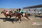asb