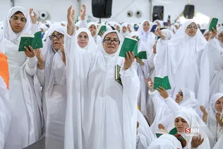 دبب