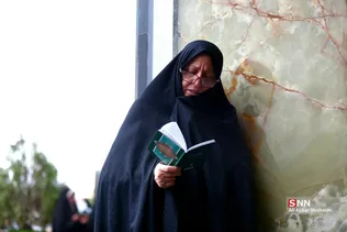 دبب
