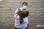رهاسازی ۹ قطعه پرنده شکاری و آبزی در تالاب بهشت معصومه