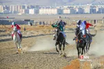 مسابقات سوارکاری 