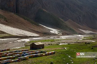 گیاه گون یکی از  تغذیه های زنبور عسل می باشد این گیاهان در کوهستان و در کنار رود پرورش پیدا میکنند و عشایر به دلیل خوش آب و هوا بودن و استفاده از آب ماه هایی از سال را در آنجا زندگی میکنند.