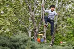 سیزده بدر کرونایی 1400