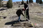 بازسازی و مرمت دو اثر تاریخی در محله کن