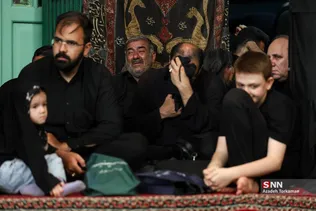 دبب
