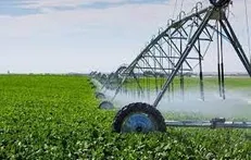 برنامه دولت برای ایجاد مزیت در الگوی کشت و حمایت از مزارع بهره‌ور