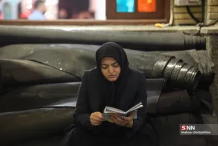 دبب