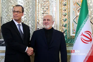 دیدار مدیرکل موقت آژانس بین‌المللی انرژی اتمی با ظریف