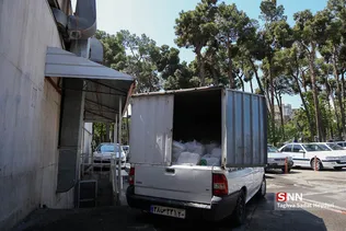 جدید