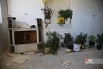 دبب