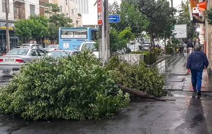 اعلام آماده&zwnj;باش به شرکت&zwnj;های برق تهران/ احتمال بازگشت طوفان به تهران