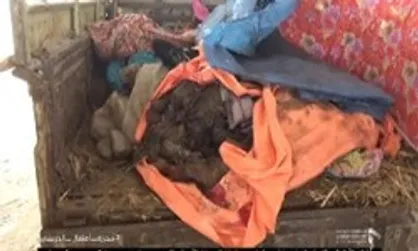 سازمان ملل جنایت ائتلاف سعودی در کشتار کودکان یمنی را محکوم کرد