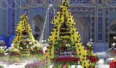 تزئین حرم امام رضا (ع) با ۲۰۰ هزار شاخه گل/ اختصاص ۳ رواق برای استراحت شبانه زائران