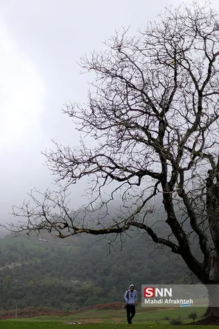 فیلبند