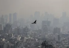 از خانه خارج نشوید؛ شاید باد وزید! ‌