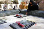 دانشگاه