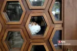 آیین غبار روبی مسجد دانشگاه تهران