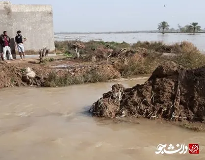 ۸ گروه جهادی در روستا&zwnj;های سیل زده خوزستان حضور دارند/ دو روستای آلبوعفری و حجیه تخلیه شدند