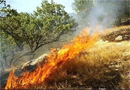 مهار آتش&zwnj;سوزی در اشترانکوه/۲۰ هکتار از اراضی سوخت