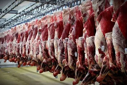 نرخ فعلی گوشت قرمز کاذب است