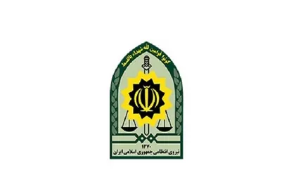 پلیس عامل تشویش اذهان عمومی در شهرستان انار را دستگیر کرد