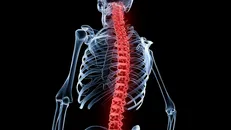 کاربید سیلیکون برای تولید قطعات قابل کاشت در بدن استفاده شد