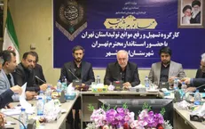 استاندار تهران: ایجاد شهرک اختصاصی تولید کفش در اسلامشهر پیگیری می‌شود